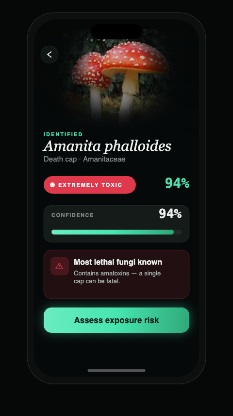 Result screen
